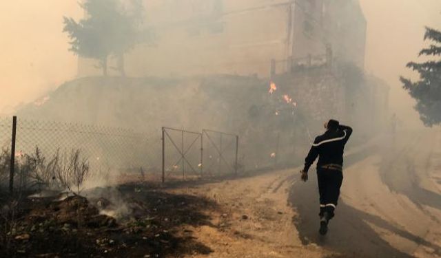 Cezayir'de orman yangınları: 25’i asker 42 kişi hayatını kaybetti