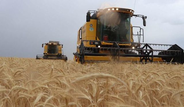 Bazı tarım ürünlerinin ithalatında gümrük vergisi sıfırlandı