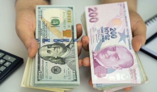 Dolar, 8.99 lira ile tüm zamanların en yüksek seviyesini gördü