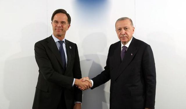 Hollanda Başbakanı Rutte Türkiye'ye geliyor