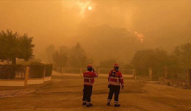 10 gündür süren orman yangınlarında 17 bin hektarlık alan yandı