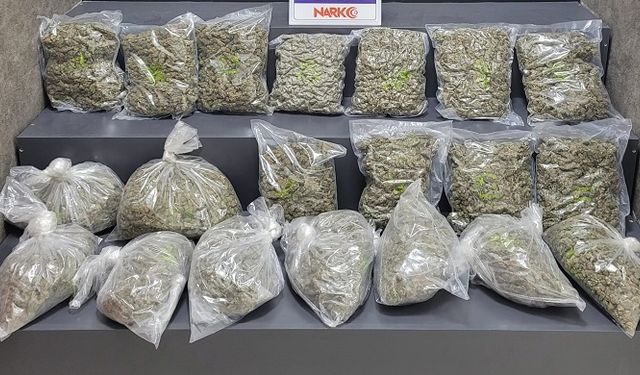 İzmir'de 16 kilo 325 gram skunk ele geçirildi