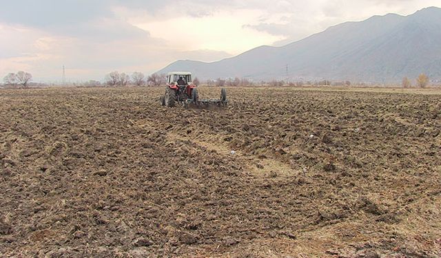 Kırsal arazilere buğday eken belediye ekmeği 1 liradan satıyor