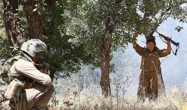 İkna çalışmaları sonucu 3 terörist daha güvenlik güçlerine teslim oldu