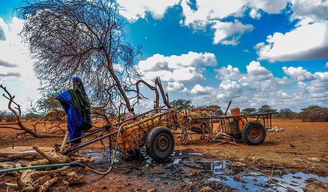 Kenya'daki kuraklık büyüyor