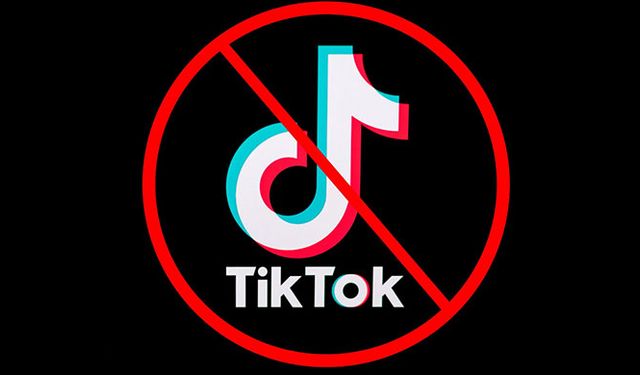 Tayvan'dan TikTok'a kısıtlama