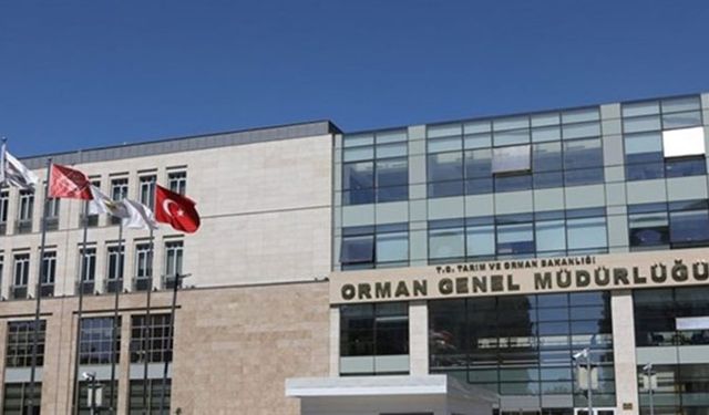 Orman Genel Müdürlüğü'ne 1613 personel alınacak