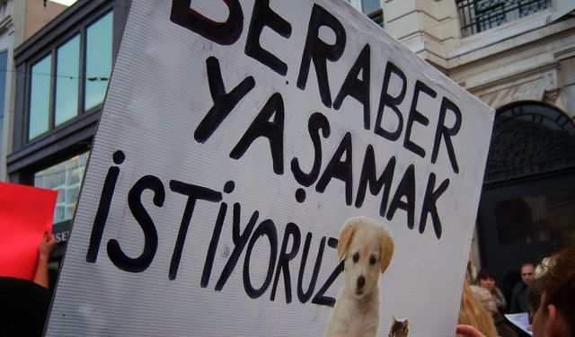 Karabük'te 7 köpeğin çöplükte ölü bulunmasına inceleme