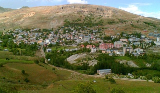 Tunceli'de kuduz karantinası