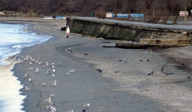 "Marmara Denizi'ndeki çekilme meteorolojik bir durum"