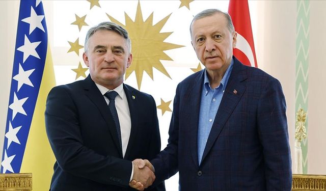 Cumhurbaşkanı Erdoğan, Bosna Hersek başkanlık yetkilisi Komsic'i kabul etti