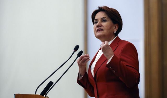 Meral Akşener'den Erdoğan'a "Bir aslan miyav dedi, minik fare kükredi"