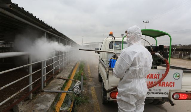 Kırıkkale ve Sivas'ta hayvan giriş çıkışı yasaklandı