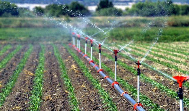 Edirne'de şebeke suyu ile tarımsal sulama yapılması yasaklandı