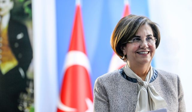 Memleket Partisi kurucularından Gaye Usluer, CHP'ye geri döndü