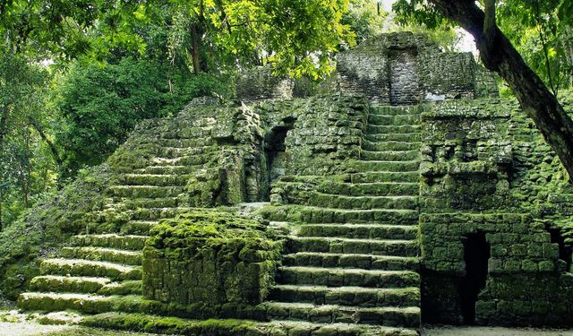 Guatemala'daki ormanda 417 antik Maya şehri keşfedildi