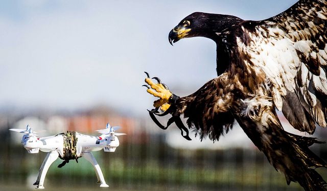 Rusya'dan İHA saldırısına karşı kartal filosu çözümü