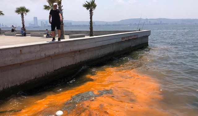 İzmir Körfezi'ndeki renk değişimi müsilajın habercisi