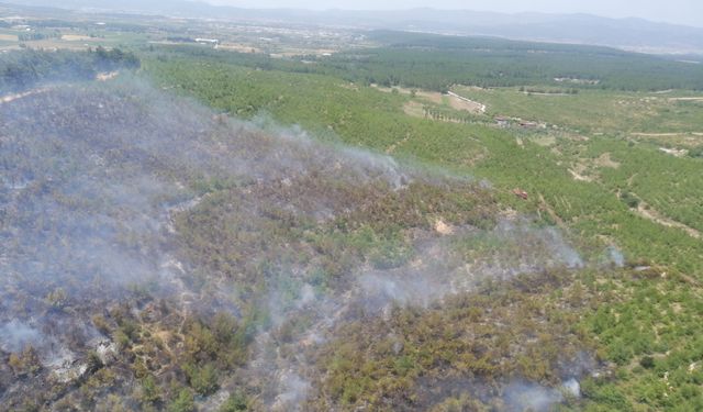 İzmir’deki orman yangını kontrol altında