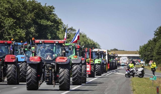 Hollanda'da hükümet ile çiftçiler arasındaki görüşmeler anlaşma sağlanamadan bitti