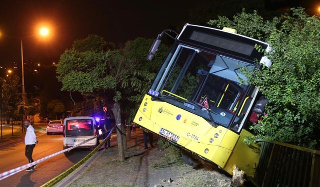 Park halindeki İETT otobüsü evin bahçesine düştü