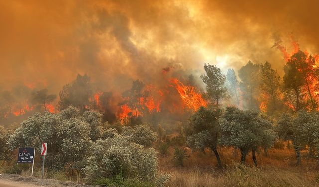 Muğla'da orman yangınına müdahale ediliyor