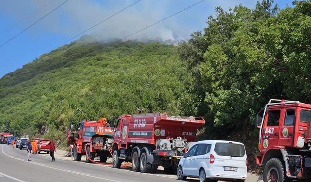 Antalya'nın Demre ilçesinde orman yangını çıktı