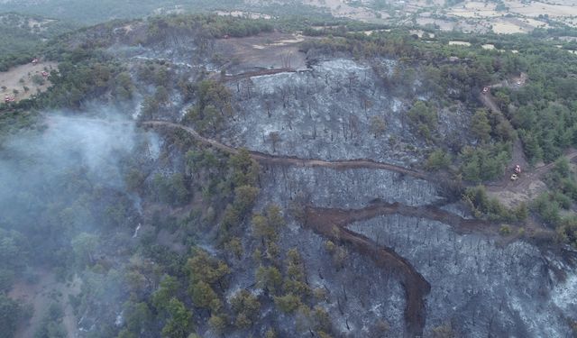 Çanakkale'deki orman yangını havadan görüntülendi