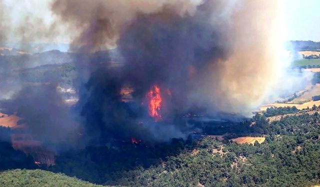 Diyarbakır'daki orman yangınına müdahale sürüyor