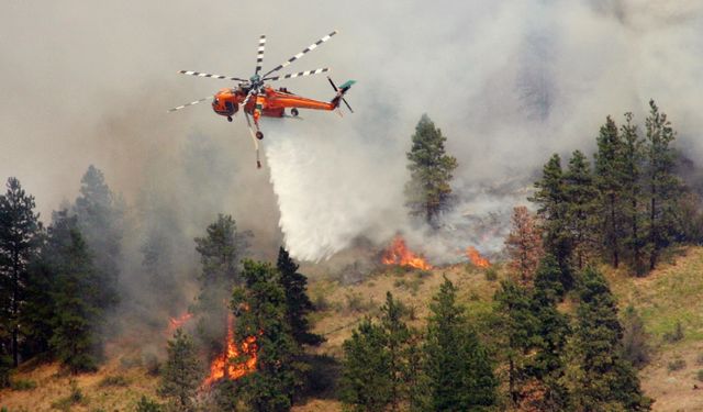 Kanada'da yangınlara müdahale eden helikopter düştü: 1 ölü