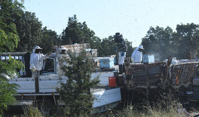 Edirne’de arıcılara tır çarptı: 4 kişi hayatını kaybetti