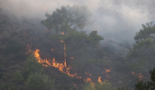 Manisa'daki orman yangını 2 gündür sürüyor