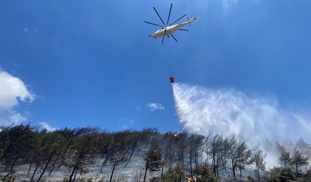 Hatay'daki orman yangını söndürüldü