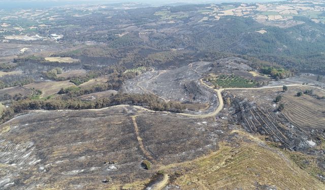 Çanakkale'deki orman yangını sonrası hayat normale dönmeye başladı