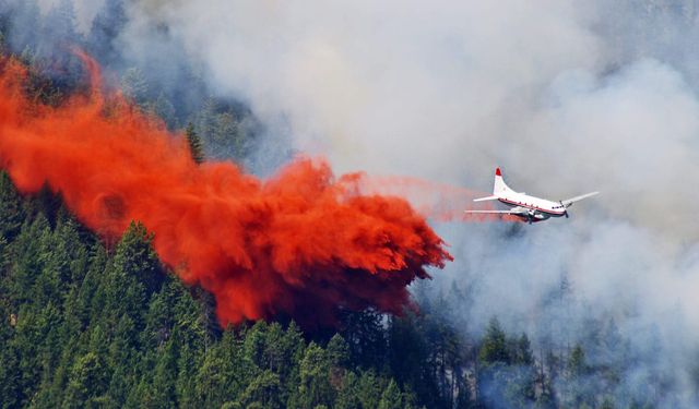 Yunanistan'da yangına müdahale eden bir uçak düştü