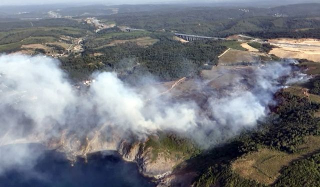 Beykoz’da çıkan orman yangını söndürüldü