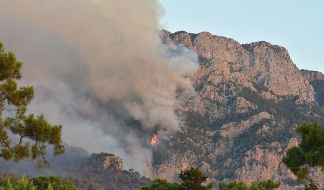 Antalya'nın Kemer ilçesindeki orman yangını kontrol altını alındı