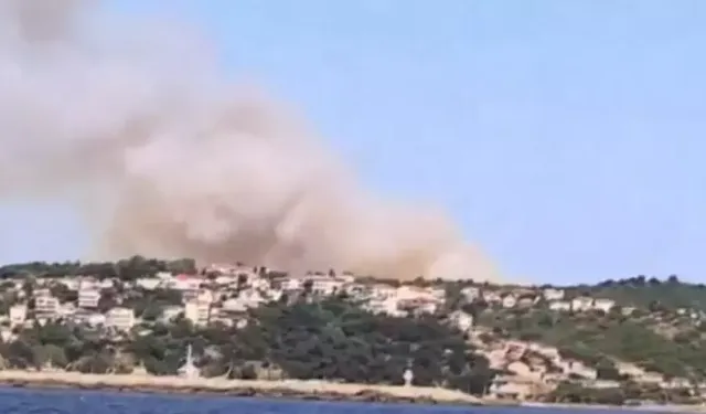 İstanbul Beykoz'da ormanlık alanda yangın