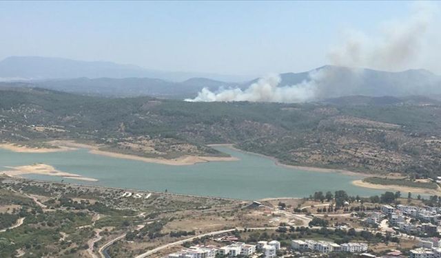 Muğla'nın Milas ilçesinde orman yangını çıktı