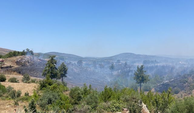 Muğla'nın Milas ilçesinde çıkan orman yangını kontrol altına alındı