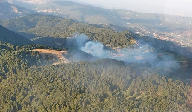 İzmir'de çıkan orman yangınına müdahale ediliyor