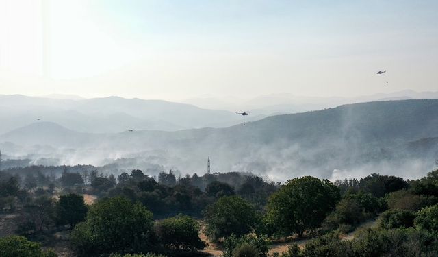 Çanakkale'deki orman yangını 22. saatinde