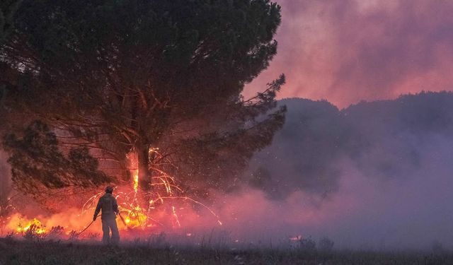 Fransa'nın Pireneler bölgesinde çıkan orman yangını 7 günde söndürülebildi