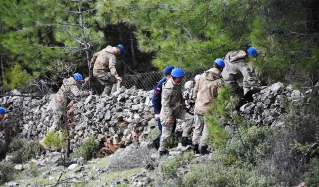 Jandarma, 79 saatlik görüntüyü inceleyerek ormanı yakan zanlıyı buldu