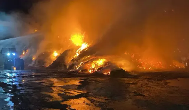 Balıkesir'de OSB'de yangın