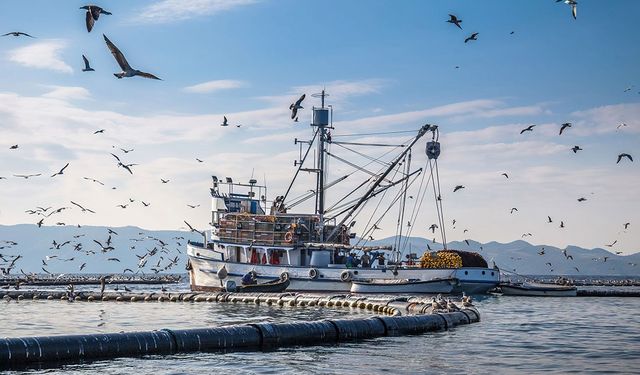 Balıkçılar 'vira bismillah' diyerek denize açıldı