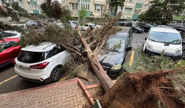 İstanbul'da yağış ve fırtına: 4 bin 566 olaya müdahale edildi