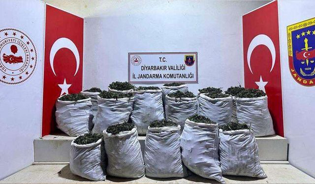 Diyarbakır'da geçen yıl 47 ton esrar ele geçirildi