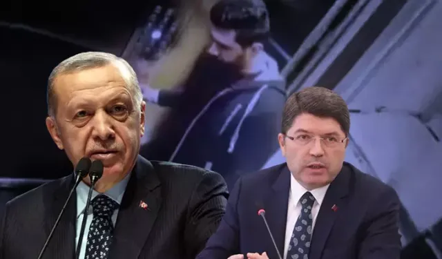 Erdoğan'dan kedinin öldürülmesine sert tepki: Nasıl olur böyle bir şey?