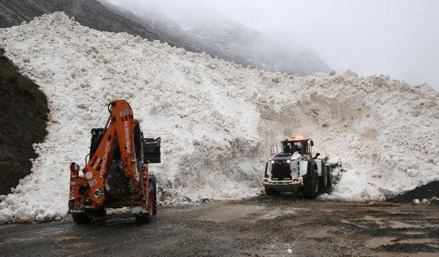 Hakkari-Çukurca kara yoluna çığ düştü